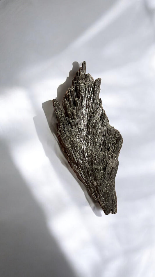 Raw Black Kyanite