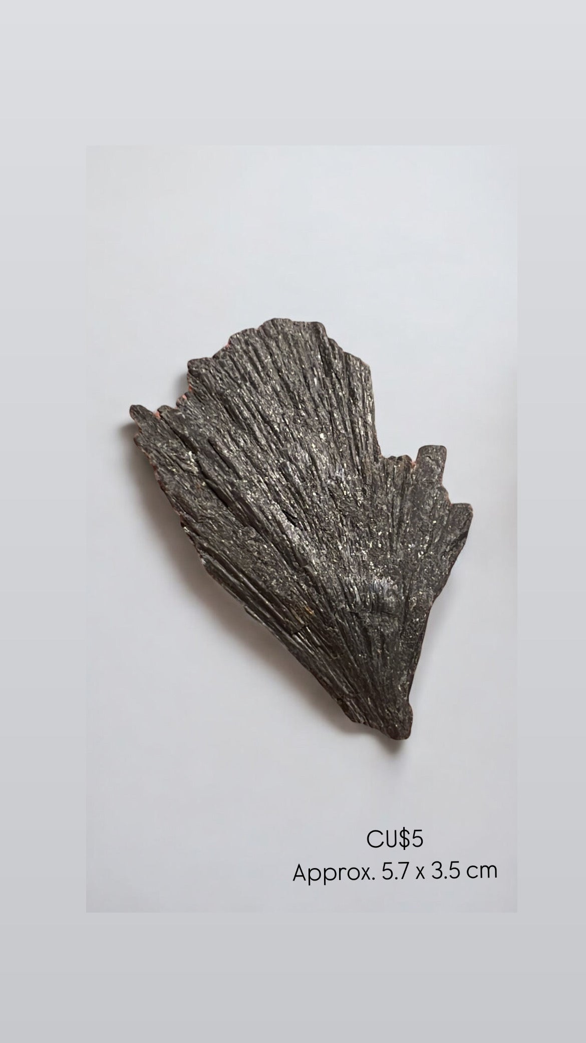 Raw Black Kyanite