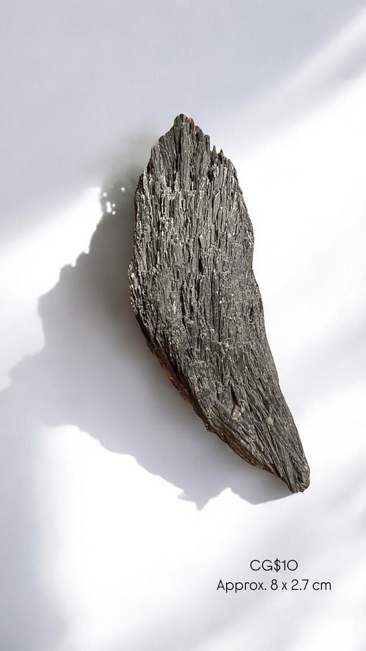 Raw Black Kyanite