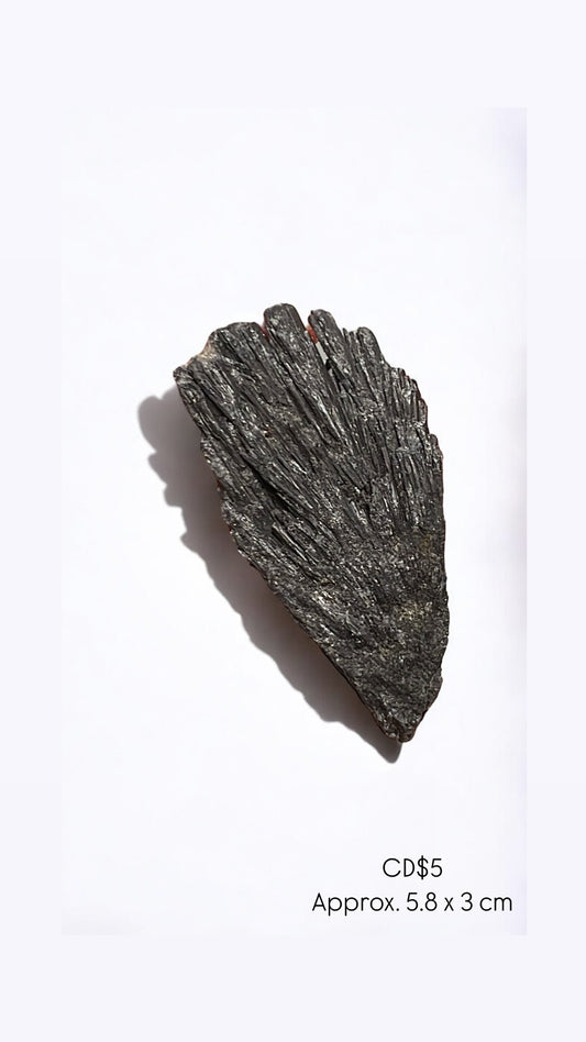 Raw Black Kyanite