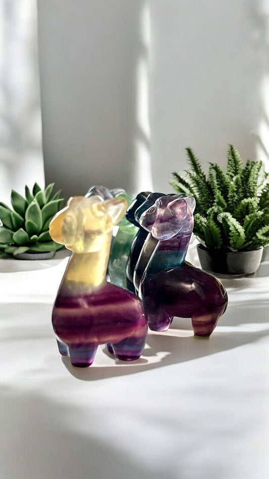 Alpaca Fluorite Carvings