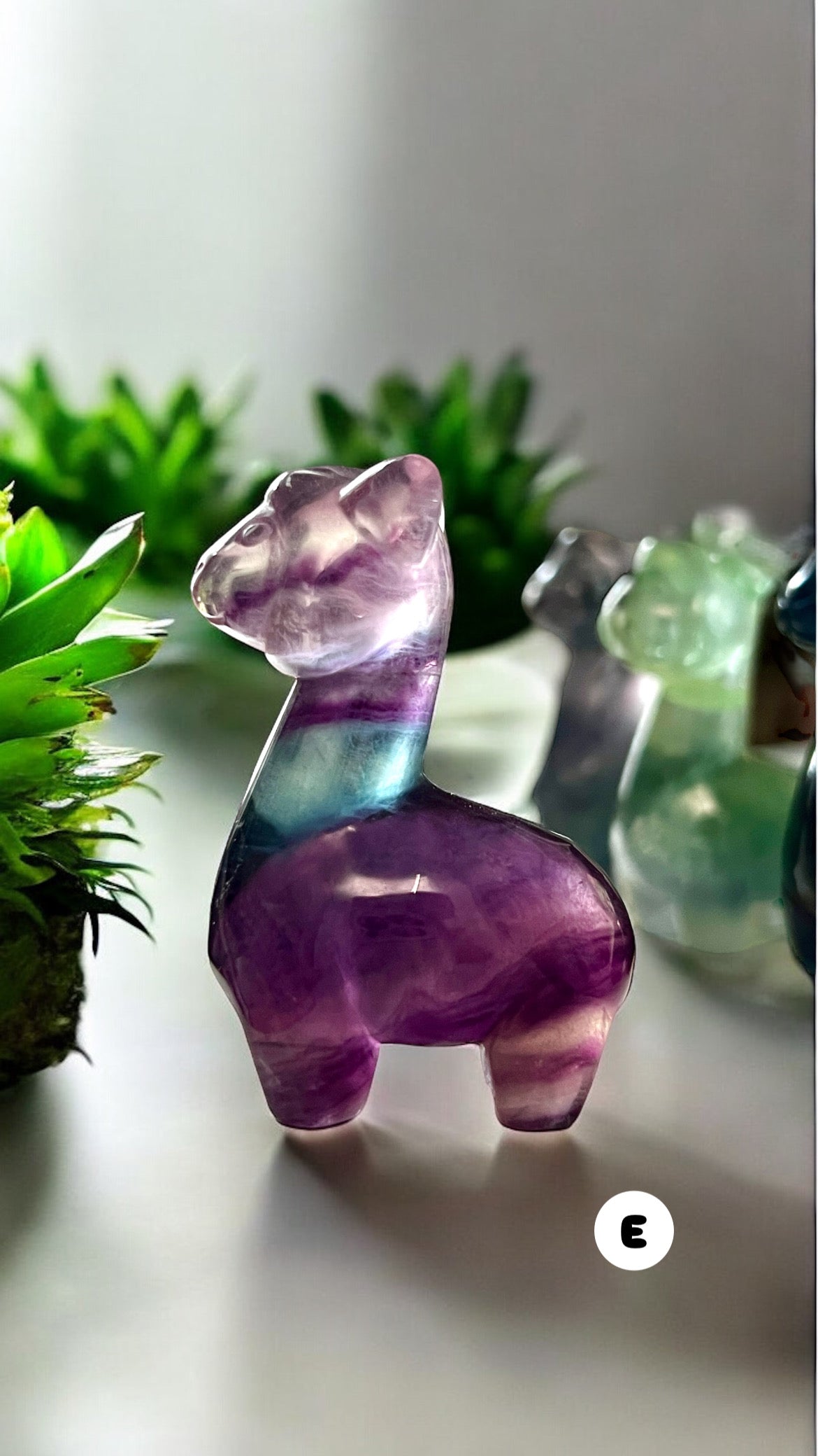 Alpaca Fluorite Carvings